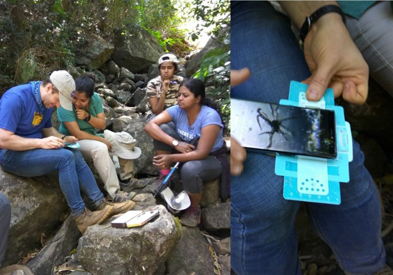 Observing samples in a makeshift lab in the field.